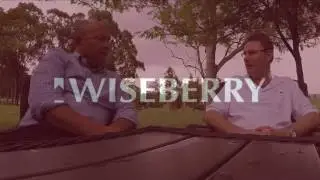 The Wiseberry Ambassador