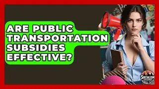 Are Public Transportation Subsidies Effective? - Socialism Explained