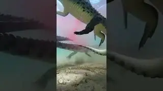 Just a Normal Day in Florida: Letting a Gator Crash Your Gender Reveal Party #shots #wildlife