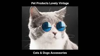 Pet Products Lovely Vintage Round Cat Sunglasses Reflection Eye wear glass | Cats & Dogs Accessories