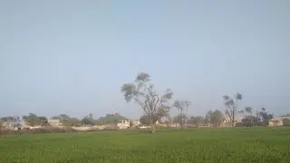 Daily Village Life | Desi Rural Environment