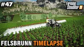FS19 Timelapse Felsbrunn #47 Harvesting, Planting & Fertilising