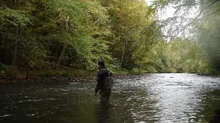 October Nymphing Wild Trout | Schuylkill River Tributary