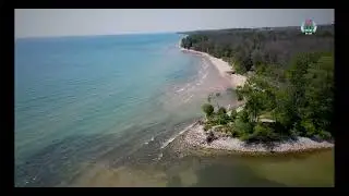We Are the DNR - Help Make a Difference Today