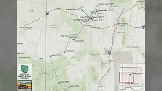 Mexican gray wolf returned to designated area after traveling north in New Mexico