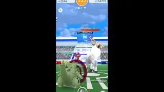 POK&Eacute;MON GO RAID | TIER 3 | DUO | WYRDEER
