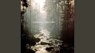 Paper Aeroplane
