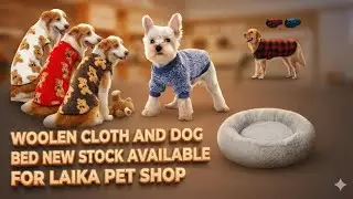 Best Dog Winter Collection 2025 | Dog Sweaters & Beds - Laika Pet Shop
