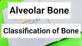 Alveolar Bone// Introduction // Classification of Bone #AlveolarBone