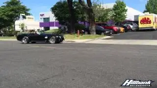 Aluminum Shelby Cobra black