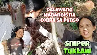 ANG DALAWANG COBRA SA MALAKING FARM PINAHULE KAY SNIPER TUKLAW #PrincessTuklaw #SNIPERTUKLAW #cobra