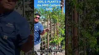 SOIL & PLANTS in the ARID California Valley #landscape #gardening #hotel #fyp #california #desert
