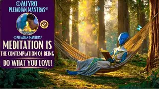 MEDITATION IS THE CONTEMPLATION OF BEING/DO WHAT YOU LOVE/BE HERE.NOW#healingmusic #pleiadianmantras