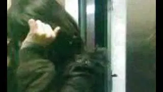 hospii ascensor xd