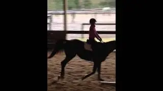 Horse jumping fail