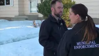 Bylaw officers walk the line
