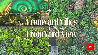 FrontYard;) #frontyardgardenupdate #frontyarddesign #frontyardgarden #fypyoutube #fypforyoupage
