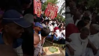 marammana konida