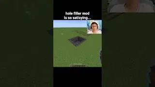 Minecraft Hole Filler Moment