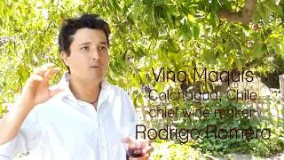 Vina Maquis: Taming Carmenere with Winemaker Rodrigo Romero | Wine Tour BKWine