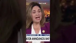 California Democrat State Senator Marie Alvarado-Gil Announces She is a Republican