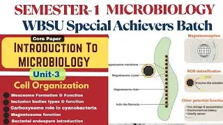 Mesosome functions |Different types of inclusion bodies found in bacteria | Magnetosome| Carboxysome