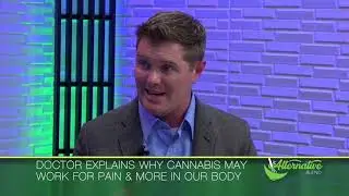 Cannabis and Pain Relief? (The Alternative Blend)