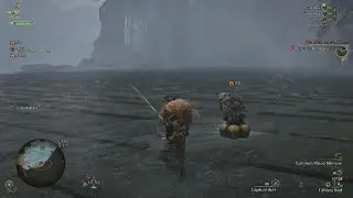 Monster Hunter Wilds Fishing