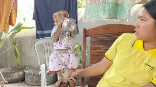 Mom Very Admire Baby DAM Genius Hold Can Juice Drink Himself