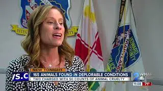 Two arrested for hoarding and abusing over 150 animals at Animal Welfare Society