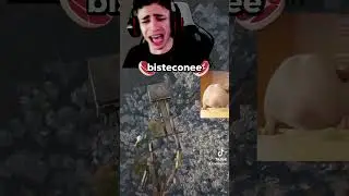 Desgra&ccedil;a