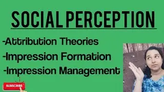 Social Perception in hindi| Attributions, Impression Formation, Impression Management| Mind Review