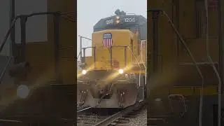 Amtrak Cascades 1400 meets with Union Pacific 1205 in Eugene OR #train #unionpacific #amtrak