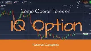 Curso GRATIS C&oacute;mo Operar Forex en IQ Option (Uso de la Plataforma)   Completo