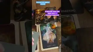 Collective Energy Update #tarot #asmr #collective #consciousness #divinefeminine #energyreading