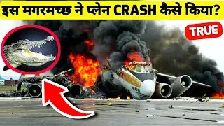 Crocodile Crashed the Plane | 2010 Filair Let L-410 crash | #shorts