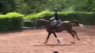 Enzo Ceribelli no Guega em 2013