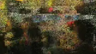 MESSAGE DE PAIX CLIP.wmv