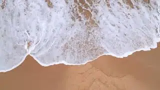 Sea Waves for 1 Hour - No Music | Pure Nature Sounds for Study & Focus