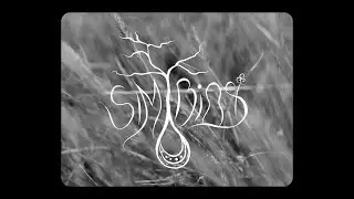 Les Gotes de la Pluja | Simbiosi
