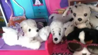 Pongo and friends angles smelly new room