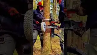 Smart Automatic Tree Trimming Machine &ndash; Forestry Innovation