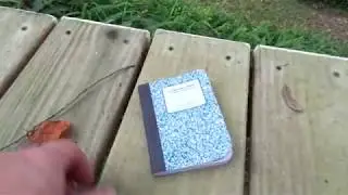 My Hiking Journal of the 220 Miles I Hiked this year!