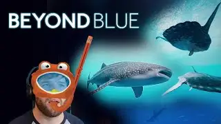 Sunfish Sunbathing Is A Thing | Beyond Blue Part 3