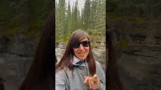 Maligne Canyon Hike - Free Hike in Jasper National Park. Popular Attraction that is Dog Friendly!