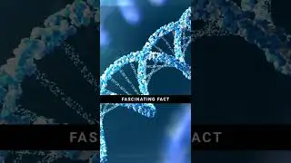 Alleles - DNA - Genes: Evidence Based Science