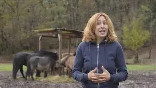 Projet Man&egrave;ge