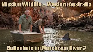 Kalbarri Nationalpark: Flussfahrt, Offroad Panne, K&auml;ngurus &ndash; echte Tierdoku Teil 2
