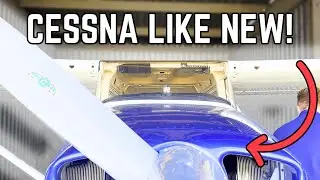From Bugs to Brilliance: Cessna 172 Deep Clean