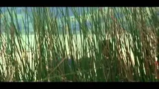 Trailer, La sirga